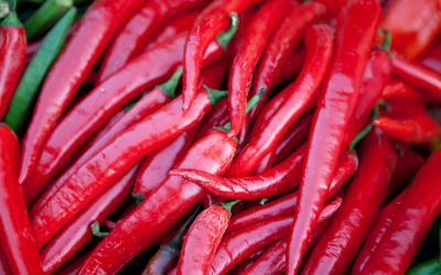 Capsaicin and Cancer: A Possible Treatment Option
