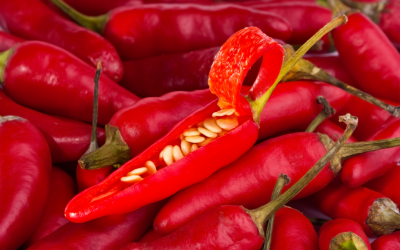 Capsaicin Gel or Cream? Choosing Your Treatment Option