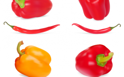 Capsaicin and Capsicum: Differentiating between Similar Words