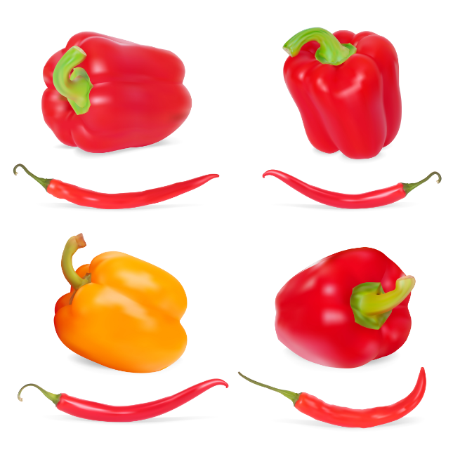 Capsaicin and Capsicum: Differentiating between Similar Words