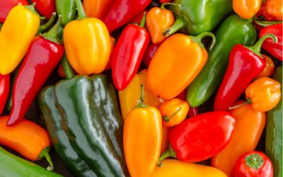 Habanero and Capsaicin: Benefits for Your Health