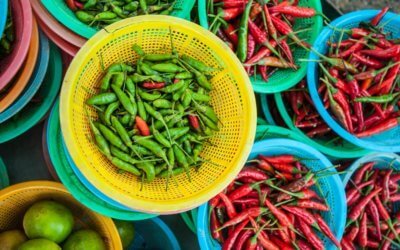What the Capsaicin Chemical Structure and How Does It Affect Use as an Analgesic?